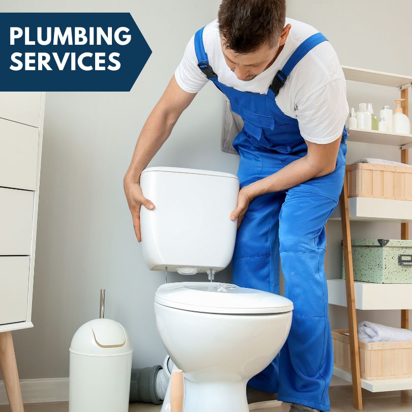 Plumbing Company in Truman, MN